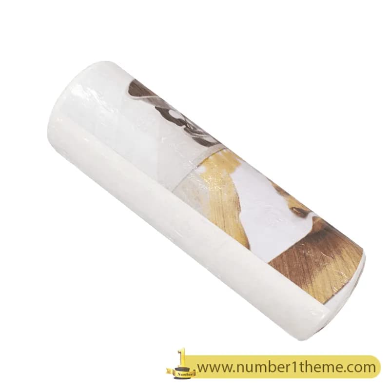 دستمال جذب روغن (کد 3010)