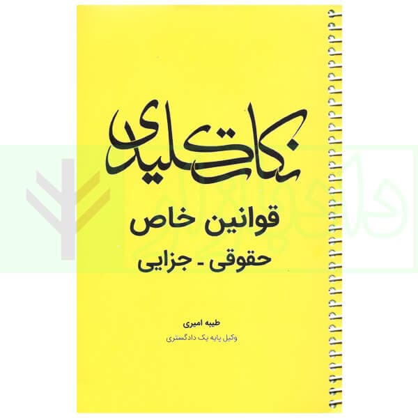 نکات کلیدی قوانین خاص حقوقی-جزایی | امیری