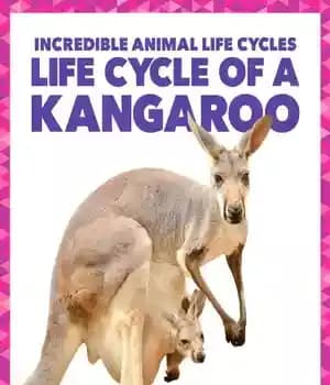 دانلود کتاب Life cycle of a kanagroo – چرخه زندگی یک کاناگرو