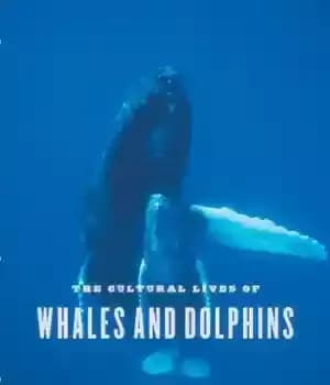 دانلود کتاب The Cultural Lives of Whales and Dolphins – زندگی فرهنگی نهنگ ها و دلفین ها