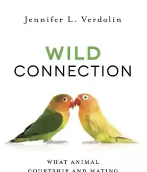 دانلود کتاب Wild connection: what animal courtship and mating tell us about human relationships – ارتباط وحشی: آنچه خواستگاری و…