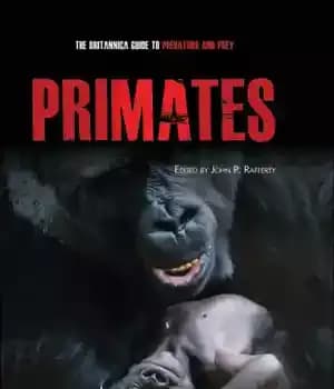 دانلود کتاب Primates – نخستی ها