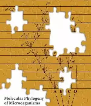 دانلود کتاب Molecular Phylogeny of Microorganisms – فیلوژنی مولکولی میکروارگانیسم ها