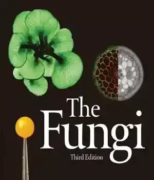 دانلود کتاب The Fungi – قارچ ها