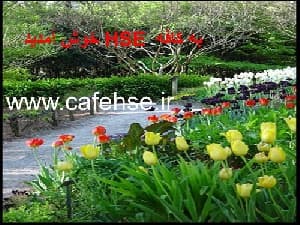 پروژه بررسي آلودگي صوتي و اثرات آن بر روي سيستم شنوايي
