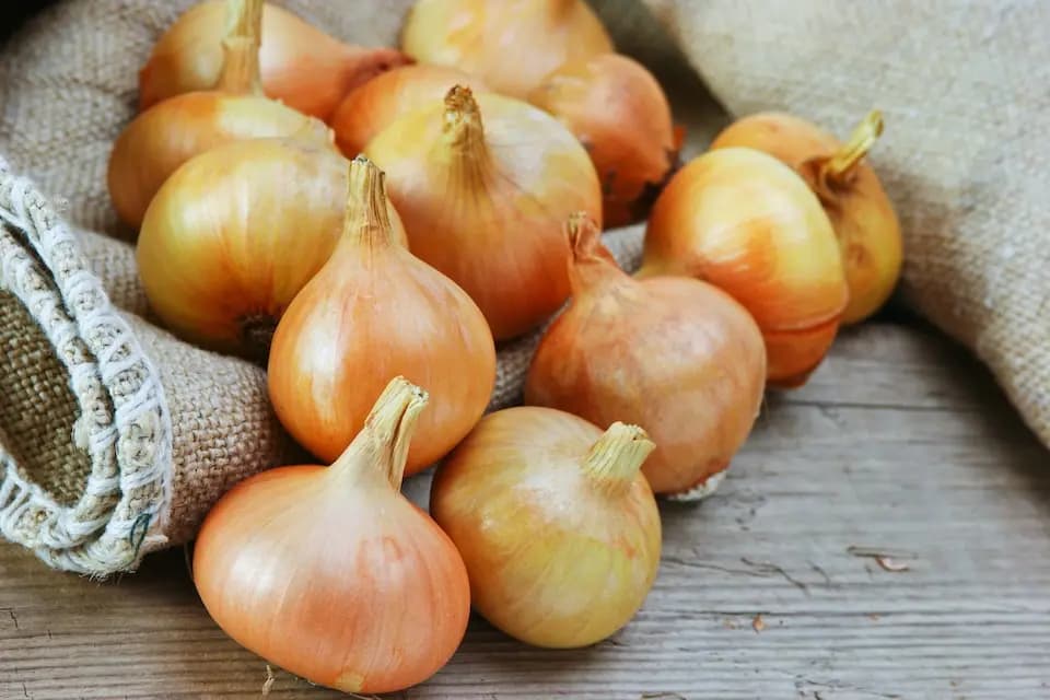 بذر پیاز زرد ( بذر پیاز طلایی )