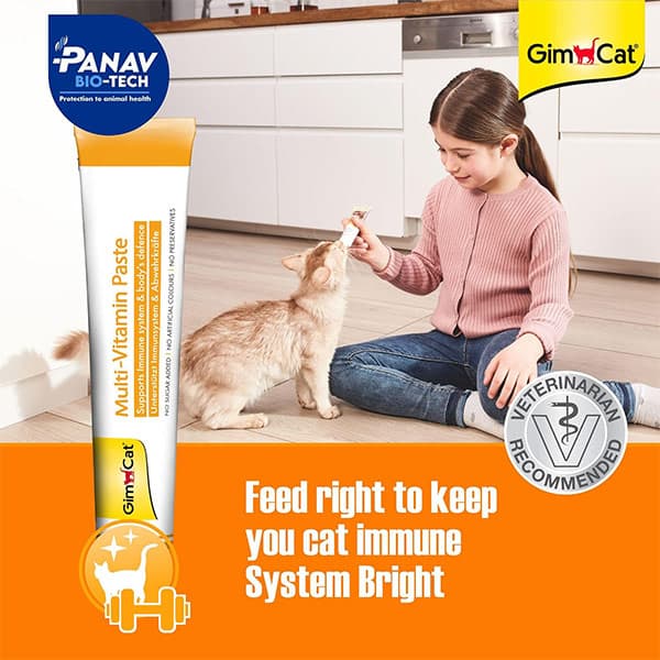 مکمل تقویتی گربه خمیر مولتی ویتامین جیم کت gimcat — تصویر ۵