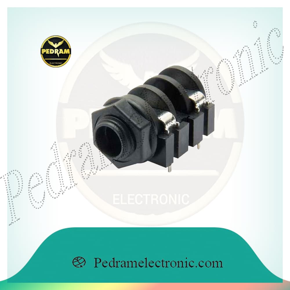 جک مادگی میکروفون کروز