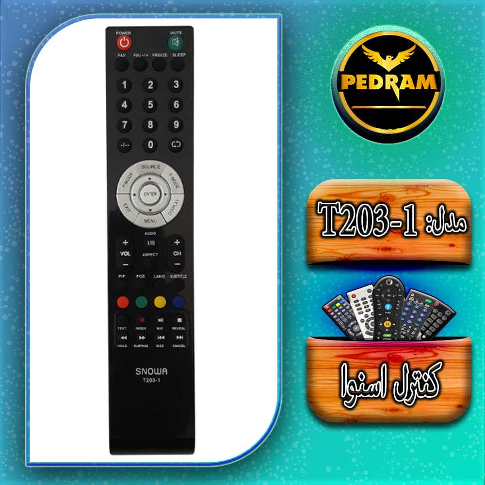 کنترل اسنوا T203-1‏