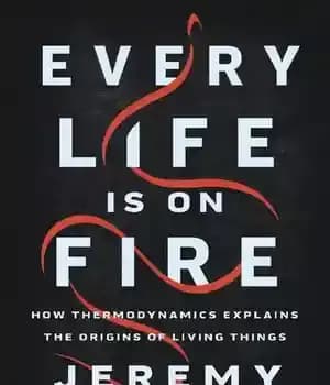 دانلود کتاب Every life is on fire: how thermodynamics explains the origins of living things – هر زندگی در آتش…