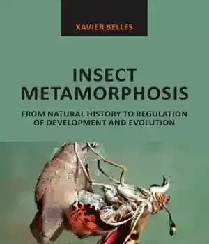دانلود کتاب Insect Metamorphosis: From Natural History to Regulation of Development and Evolution – دگردیسی حشرات: از تاریخ طبیعی تا…