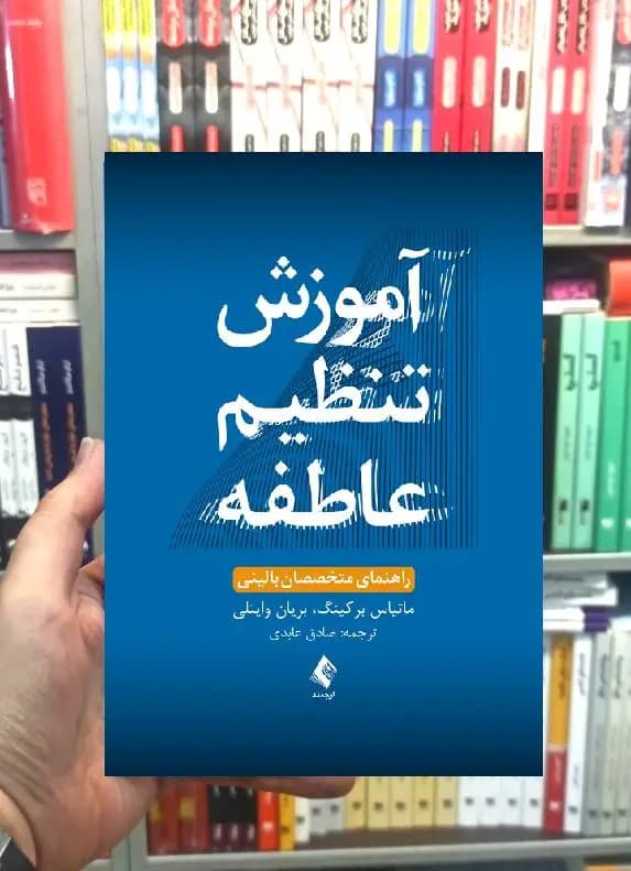 آموزش تنظیم عاطفه ماتیاس برکینگ ارجمند — تصویر ۲