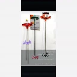 اچار آلن بلند ژاپنی — تصویر ۳