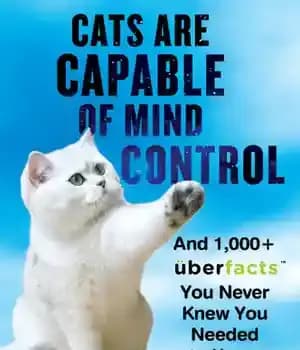 دانلود کتاب Cats Are Capable of Mind Control: And 1,000+ UberFacts You Never Knew You Needed to Know – گربه…