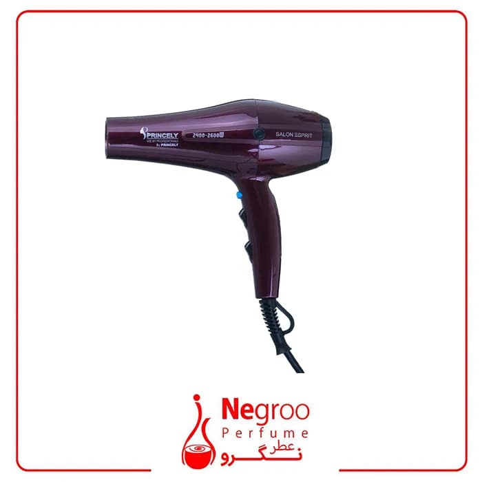 سشوار حرفه ای پرینسلی مدل P/اورچینالR250AT