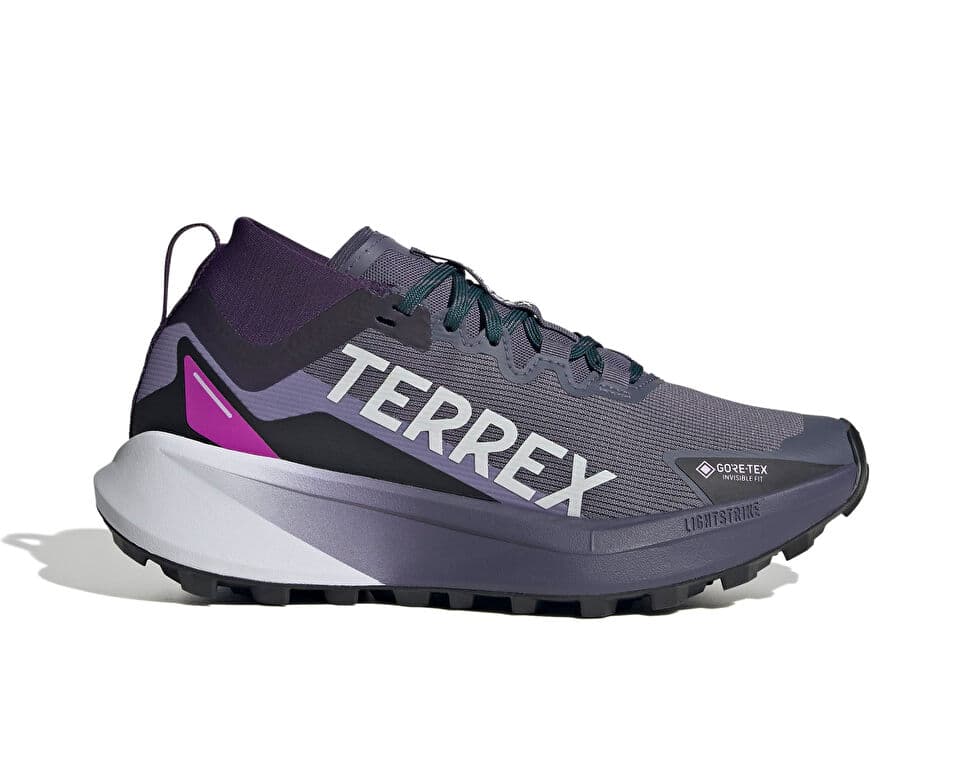 Adidas TERREX AGRAVIC GTX W Shoes
