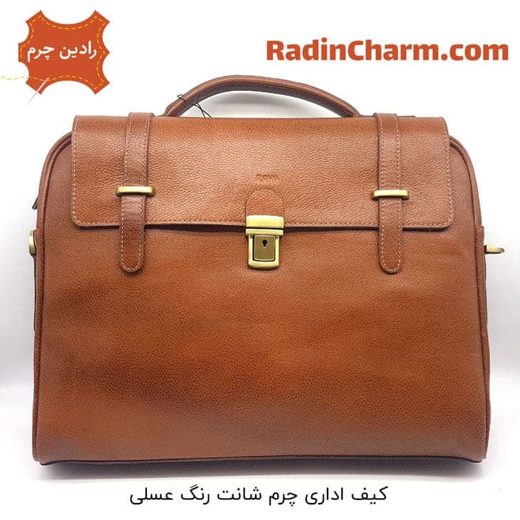 کیف اداری چرم شانت — تصویر ۳