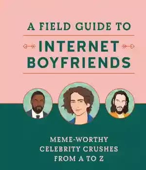 دانلود کتاب A Field Guide to Internet Boyfriends – راهنمای میدانی برای دوست پسرهای اینترنتی
