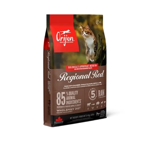 غذای خشک گربه اوریجن Orijen Cat Regional Red وزن 340 گرم