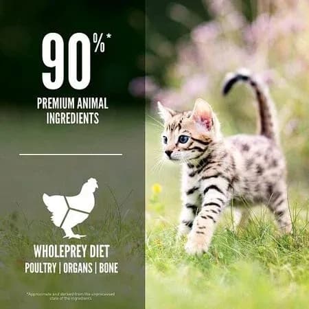 غذای خشک بچه گربه اوریجن Orijen Kitten وزن 1.8 کیلوگرم — تصویر ۲
