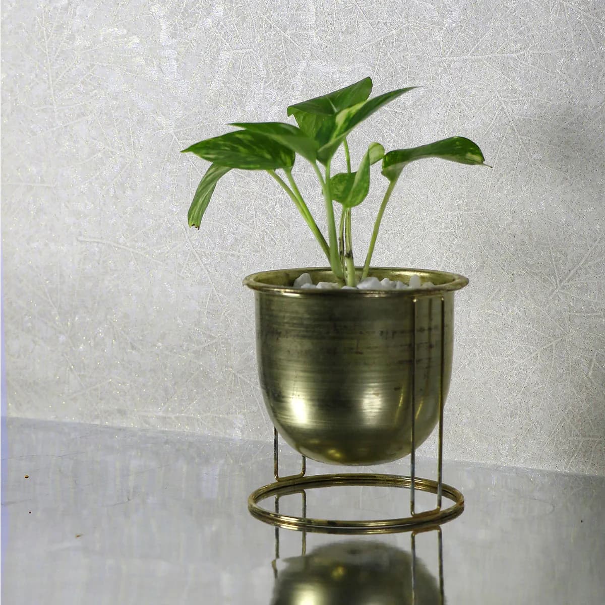 کاغذ دیواری اتم طرح شاخ و برگ کد 6110 — تصویر ۴