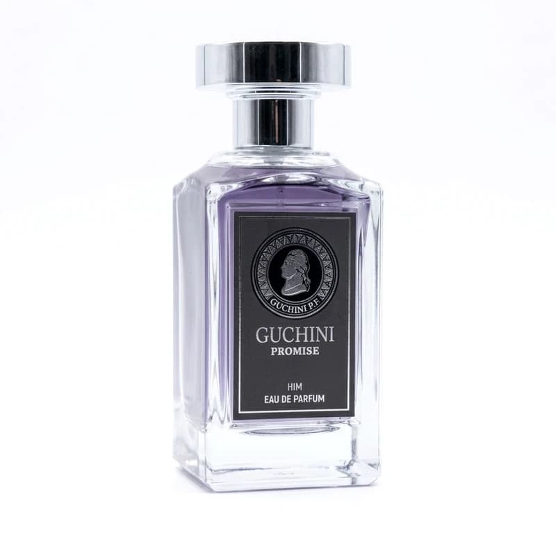ادکلن مردانه گوچینی حجم 100 میل مدل GUCHINI Promise