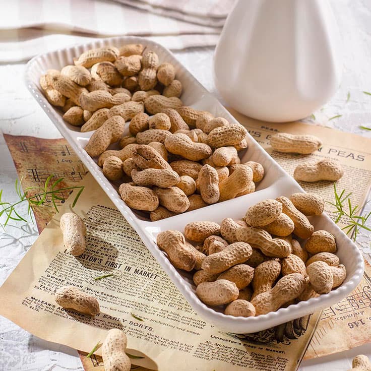 اردو خوری دنیز کائولین(15)