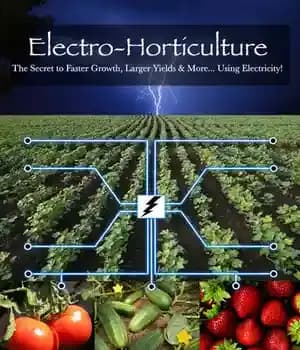 دانلود کتاب Electro-Horticulture: The Secret to Faster Growth, Larger Yields & More… Using Electricity! – باغبانی الکتریکی: راز رشد سریعتر،…