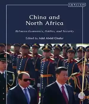 دانلود کتاب China and North Africa: Between Economics, Politics and Security – چین و شمال آفریقا: بین اقتصاد، سیاست و…