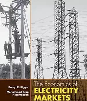 دانلود کتاب The Economics of Electricity Markets – اقتصاد بازارهای برق