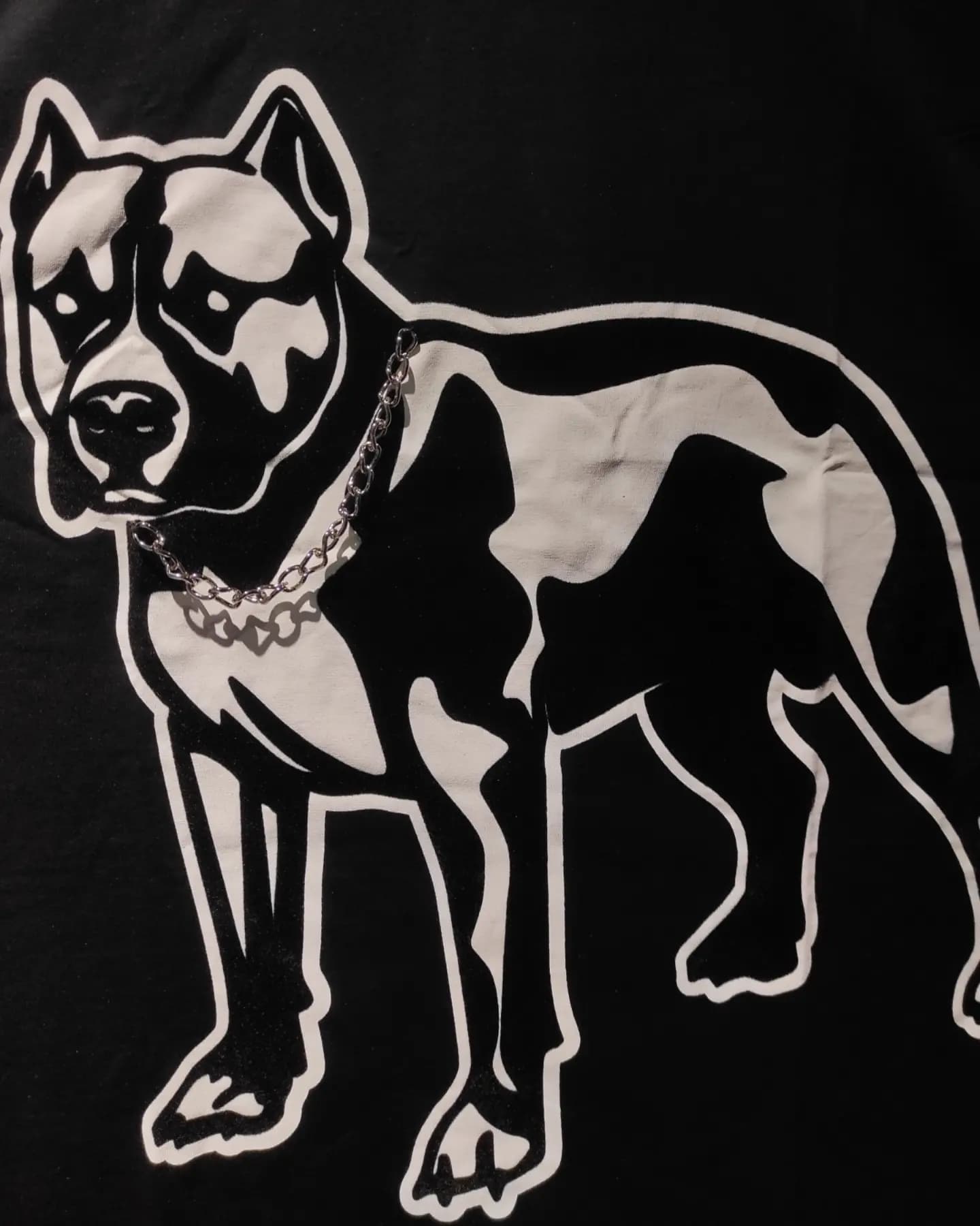 تیشرت اور سایز PITBULL — تصویر ۴