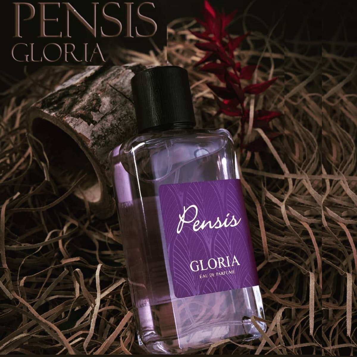 عطر و ادکلن زنانه ادو پرفیوم زنانه پنسیس مدل GLORIA حجم 100 میلی لیتر — تصویر ۲