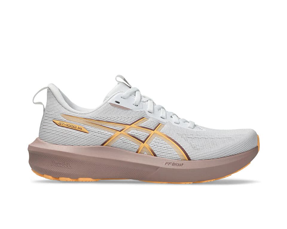 Asics GT 1000 14 Shoes