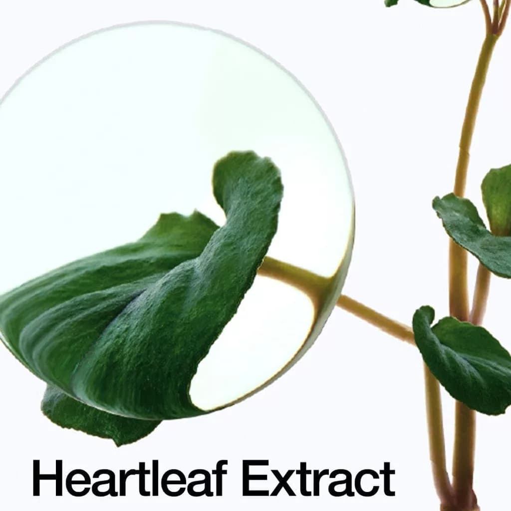 تونر آنوا +77 هیالورون ANA HEATLEAF 77+HYALURON — تصویر ۴