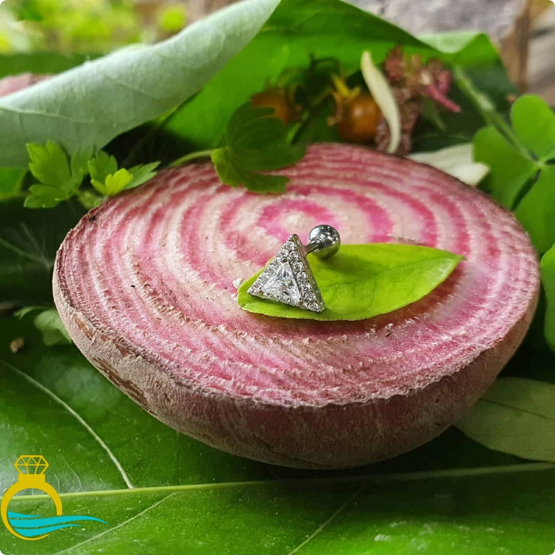 پیرسینگ گوش کد PS331 — تصویر ۲