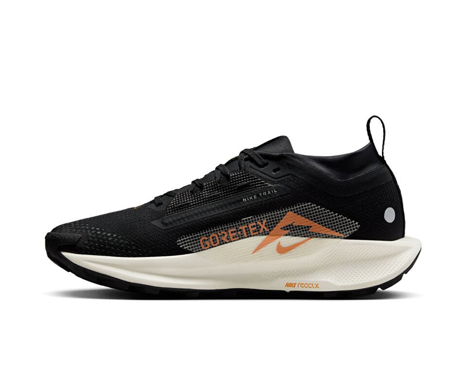 Nike W PEGASUS TRAIL 5 GTX Shoes — تصویر ۲