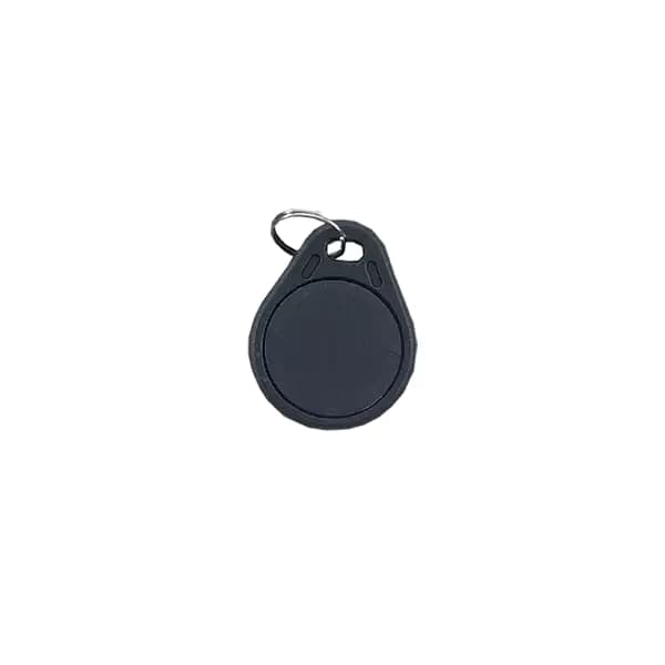 تگ مایفر برایتون