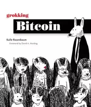 دانلود کتاب Grokking Bitcoin – بیت کوین گروکینگ