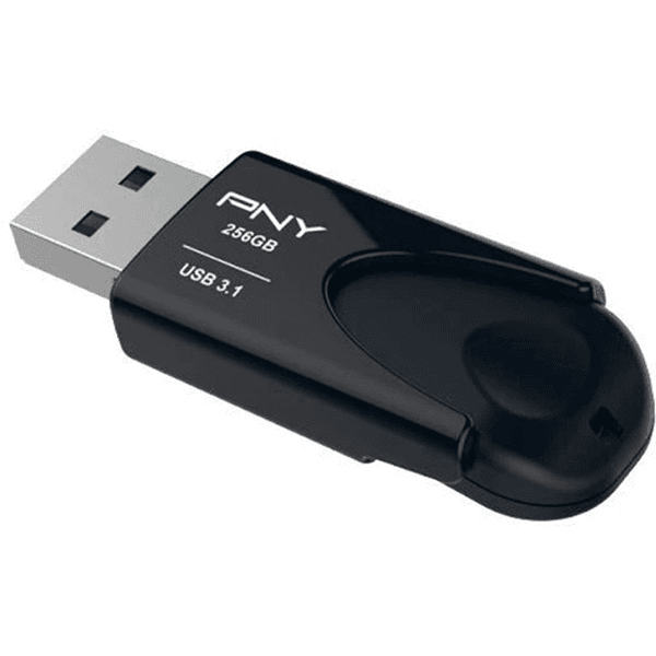 فلش مموری 256 گیگابایت Flash Drive مدل PNY سرعت انتقال USB3.1