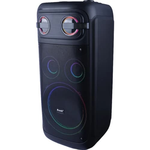 اسپیکر چمدانی بلوتوثی برودو BTS-2510 + میکروفون — تصویر ۴