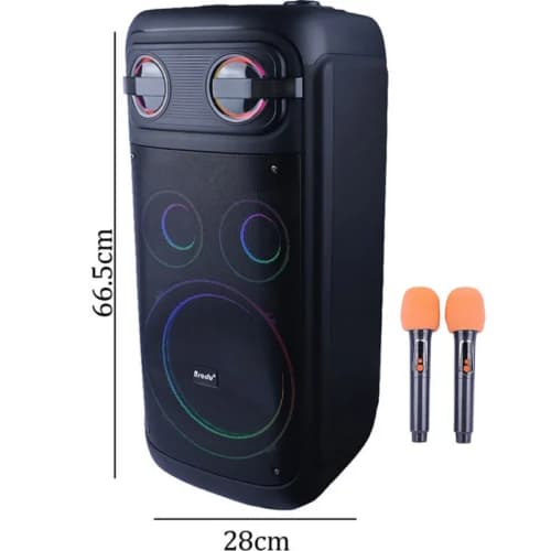 اسپیکر چمدانی بلوتوثی برودو BTS-2510 + میکروفون