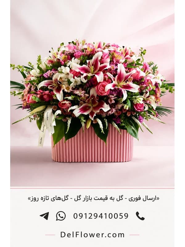 پک هدیه نوزاد برای خانواده | مدل کیانانه در تهران