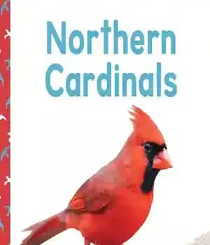 دانلود کتاب Northern Cardinals – کاردینال های شمالی