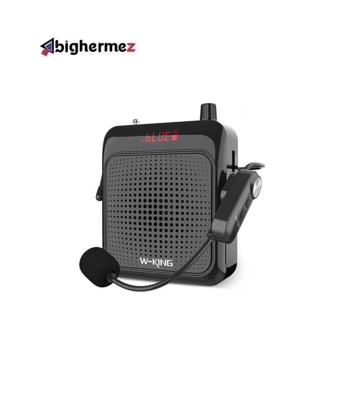 اسپیکر بلوتوث دبلیو کینگ مدل KS13
