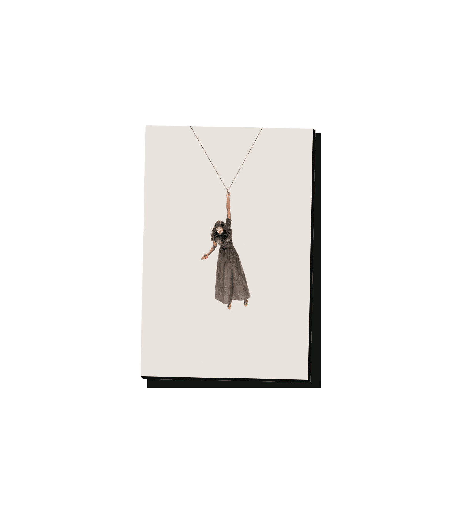 تابلو شاسی دختر در حال پرواز با یک دست آویزان