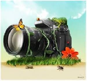 آموزش عکاسی