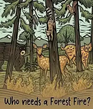 دانلود کتاب Who Needs a Forest Fire? – چه کسی به آتش سوزی جنگل نیاز دارد؟