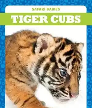 دانلود کتاب Tiger Cubs – توله ببر