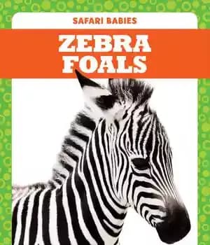 دانلود کتاب Zebra Foals – کره گورخر