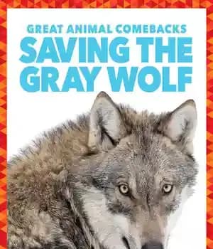 دانلود کتاب Saving the Gray Wolf – نجات گرگ خاکستری